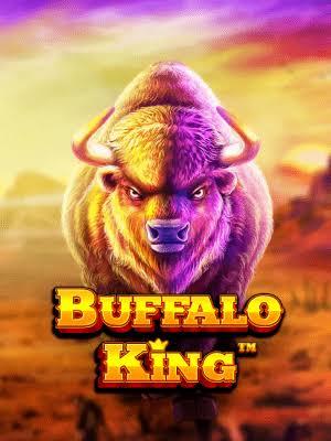 Buffalo King